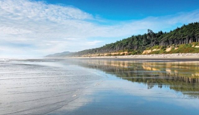 Stroll down the beautiful beach!