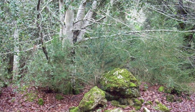 Stroll through its beautiful landscapes and enjoy tranquility