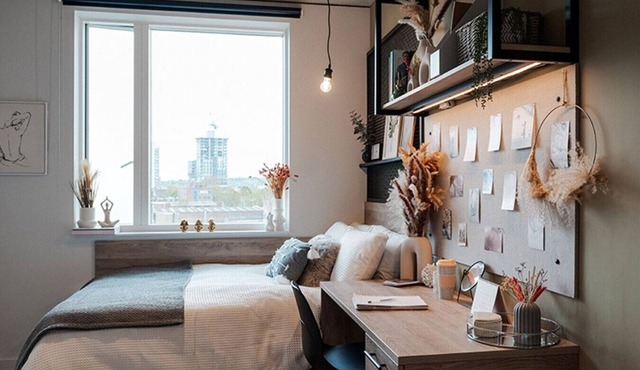 Student Only Superior Ensuite Your Tribe Southwark