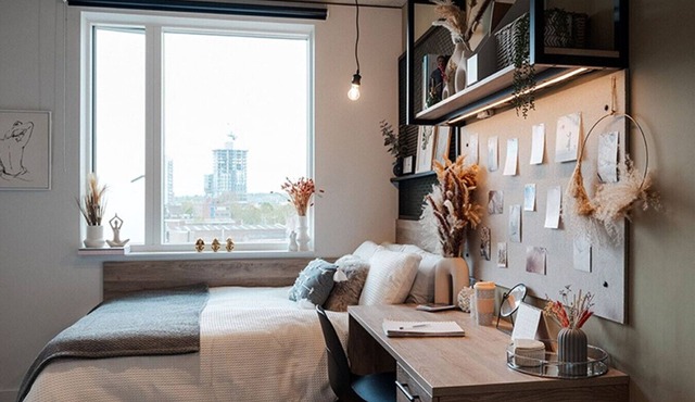 Student Only Ultimate Ensuite Your Tribe Southwark