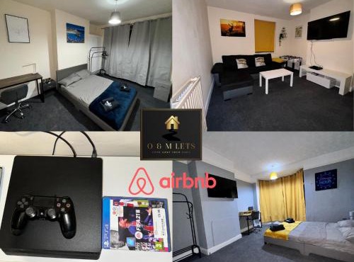 Students Contractors Professionals