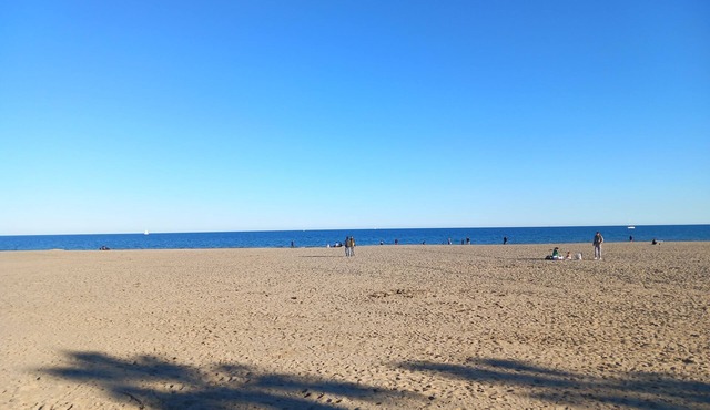 Studio à 40 Mètres de la Plage