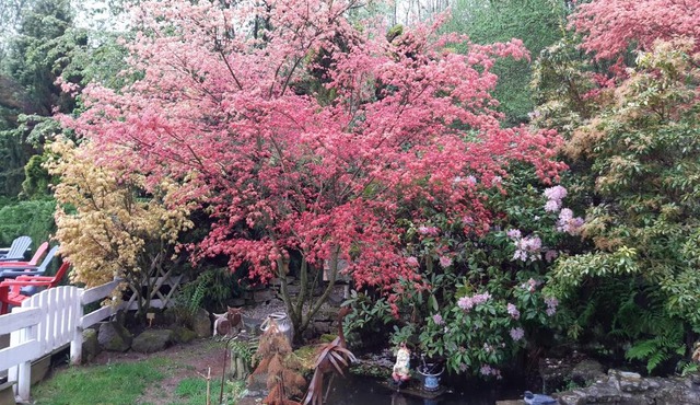 Studio à Ban de Sapt