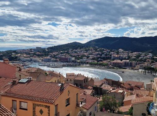 Studio à Banyuls-sur-Mer, terrasse proche plages - FR-1-309-73