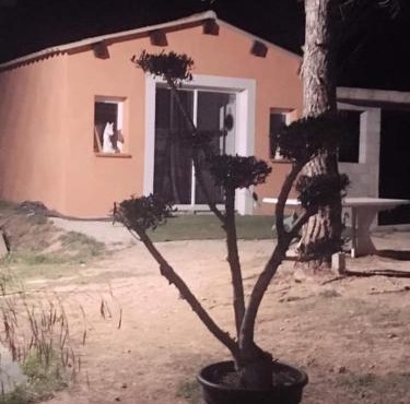 Studio Églantine