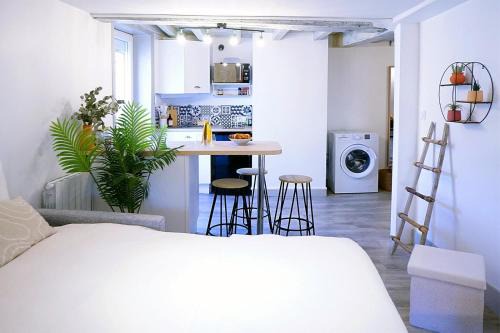 Studio Élégant Roanne