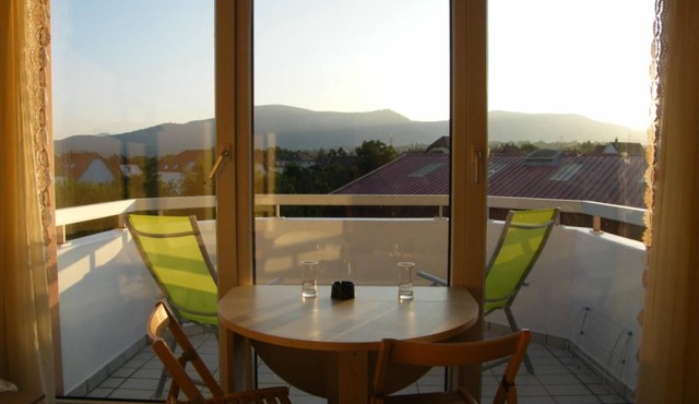 STUDIO 01 Holiday rental in Obernai in Alsace panoramic mountain view