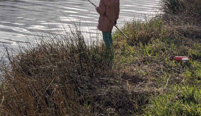 Studio 1 Personne Avec Terrasse, 30 min du Littoral