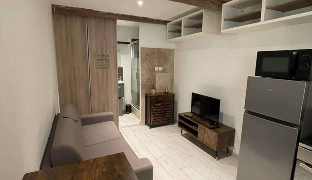 Studio 18m2 centre ville