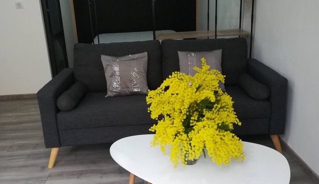 Studio 2 minutes from the A75 motorway