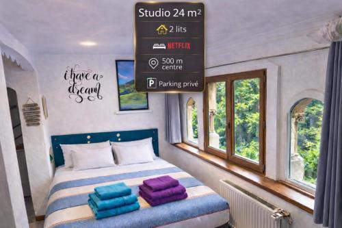 Studio 24m2 cosy classé, lit Queen Size, Netflix, wifi, 400m centre, parking, boîte à clés, Gîtes La Tarine