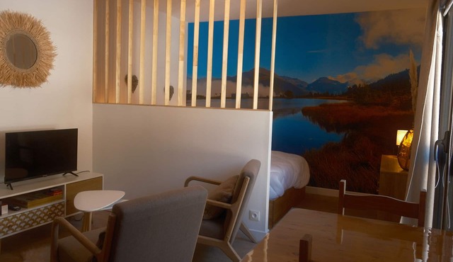 Studio 3 L'estagnol aux Pieds des Pistes de Skis