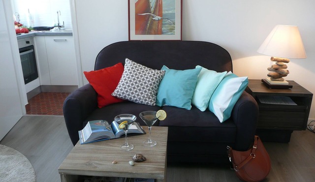 Studio 3*, SEA VIEW and facing the dragon, 150m from the BEACH, near the 2 caps site