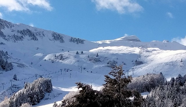 Studio 31 m2 "La Marmotte" 4 pers with balcony 31m2 Alpe du Grand Serre