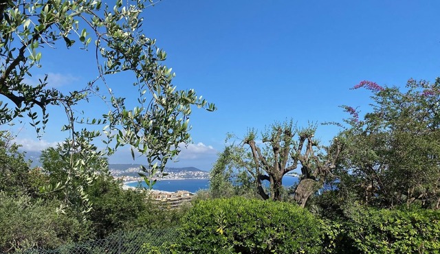 Studio 36 m2 balcony sea view large swimming pool secure condominium standing