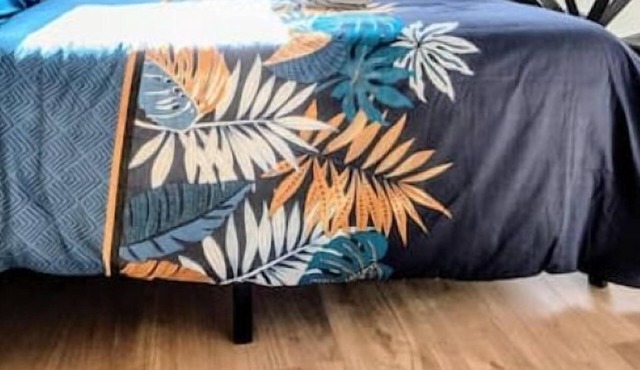 Studio 4 - Bright Cocoon