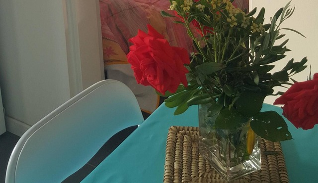 Studio 4 people with terrace near Collioure free wi-fi in St Cyprien
