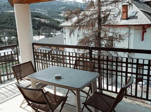 Studio 4 pers avec terrasse sud et animaux acceptés - FR-1-165B-49