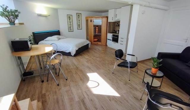 Studio 40 m2 avec sauna proche de Strasbourg