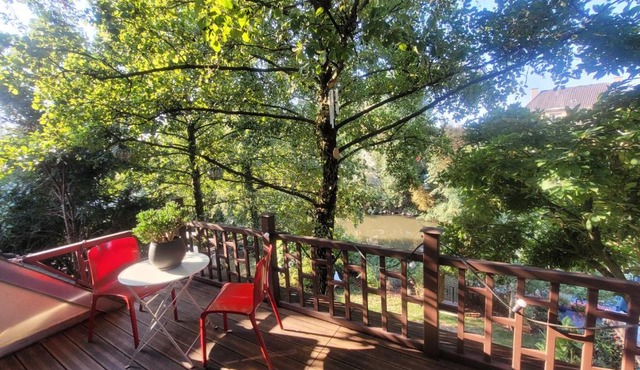 studio 50m2 au bord de l'eau à STRASBOURG