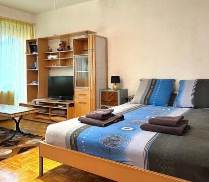 Studio Anémones, meublé, équipé, Monthey