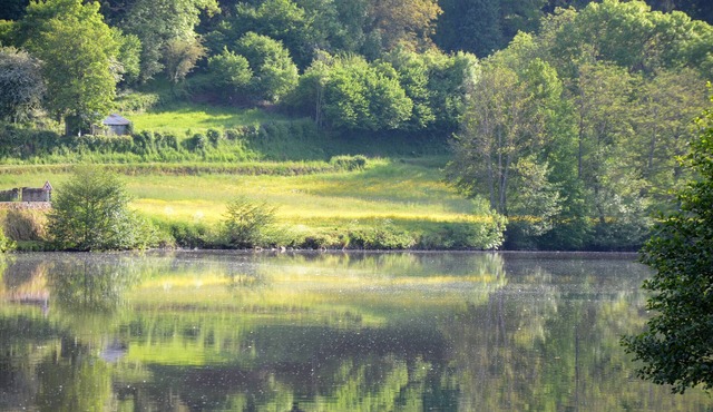Studio Apartment 'Au Bord De L'eau'