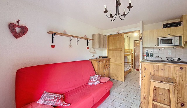 STUDIO APARTMENTWITH MOUNTAIN VIEWS -SAINT JEAN D'AULPS SKI RESORT - 4 PEOPLE - PIED DES PISTES 20