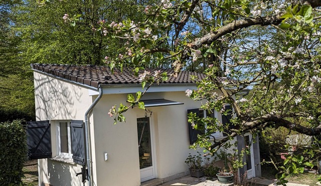 Studio Apartment 'Tout Confort Jardin Partagé' with Private Terrace, Shared Garden and Wi-Fi