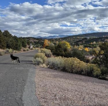 Studio apartment 15 minute walk to plaza