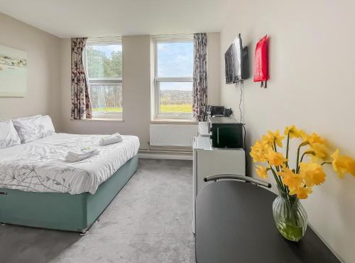 Studio Apartment 6 - Uk48706