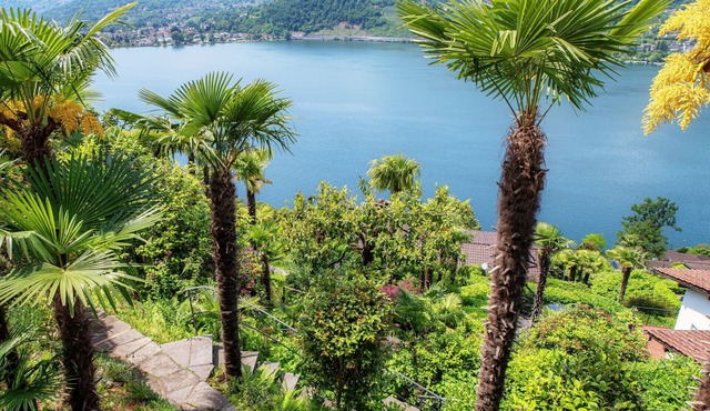 Studio apartment with lakeview terrace (LA PALMA 3)