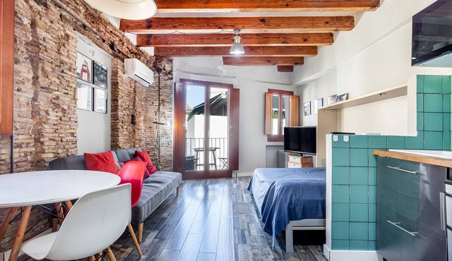 Studio Apartment 'Estudio 4 Centro Histrico Valencia' with Garden and Air Conditioning