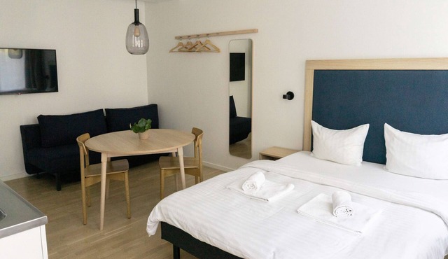 Studio Apartment for 4