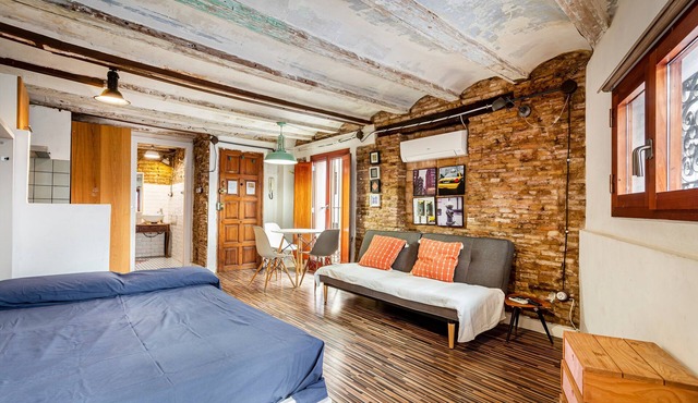 Studio Apartment 'Loft 1º with Roof Terrace' with Wi-Fi and Air Conditioning