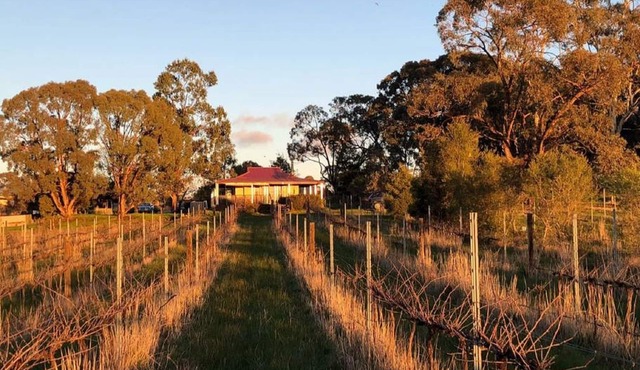 Studio apartment on a vineyard in the heart of the goldfields