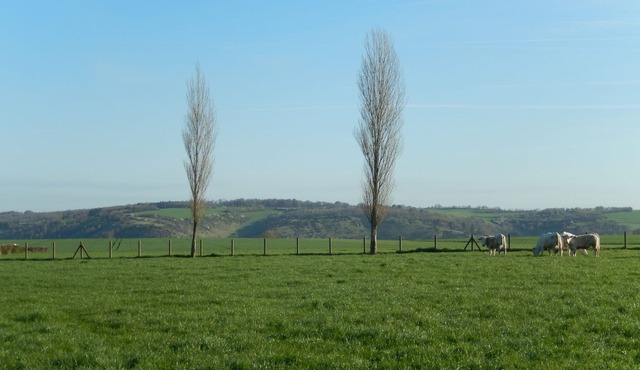 STUDIO Appart gite Petite Halte,. work, vacation.