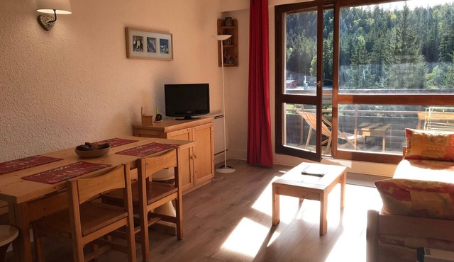 Studio at the foot of slopes with balcony Corrençon-en-Vercors