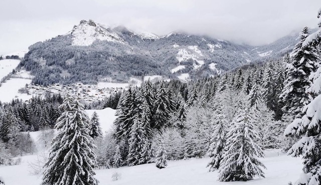Studio at the foot of the slopes