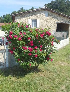 Studio au cœur de la nature