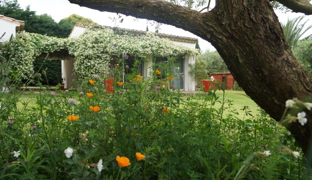 Studio au coeur de la petite camargue