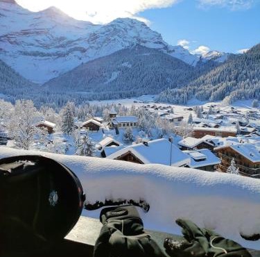 Studio avec vue splendide sur les Diablerets
