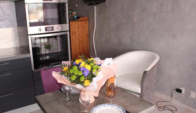 Studio Balaruc-les-Bains, 1 pièce, 2 personnes - FR-1-503-94