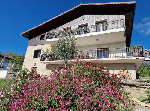 Studio Bellevue appart indépendant rénové 2024 piscine parking proche centre Annecy