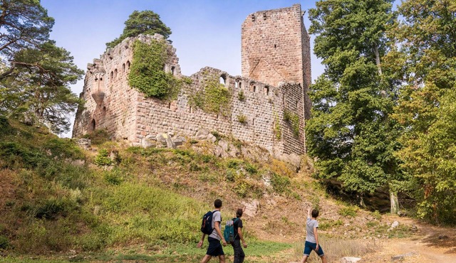 Studio Brigitte : Nature, Sauna Privatisable et Piscine Extérieure L'été