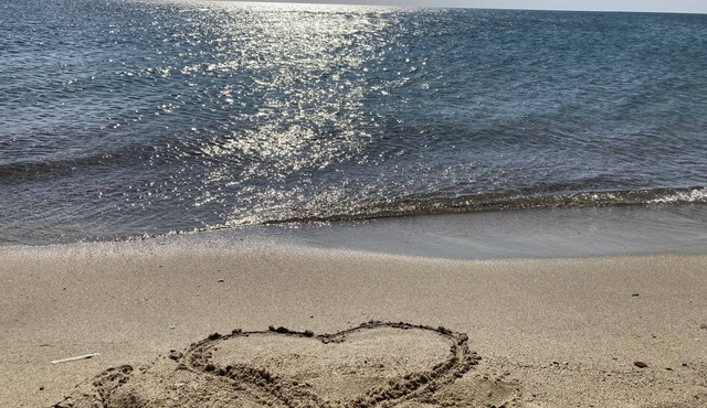 Studio Cabine Résidence Bord de mer