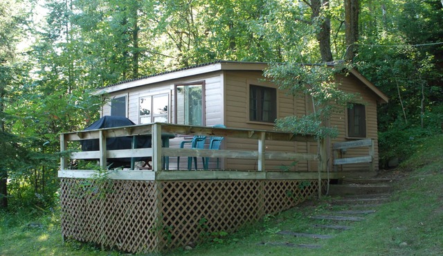 Studio Cabin Hidden in Towering Pines within 10 feet of lake. Pets accepted!