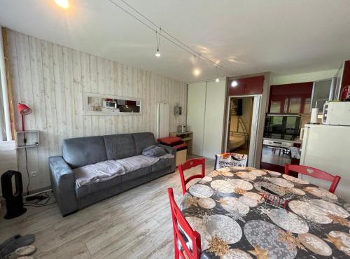 Studio cabine confort 6 pers, animaux admis, Gourette - FR-1-859-34