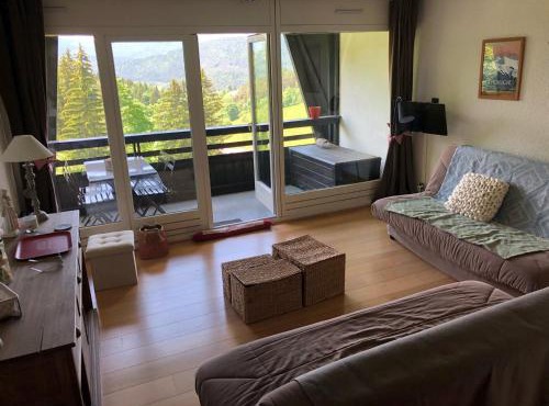 Studio cabine lumineux avec balcon à Villard-de-Lans - FR-1-515-185
