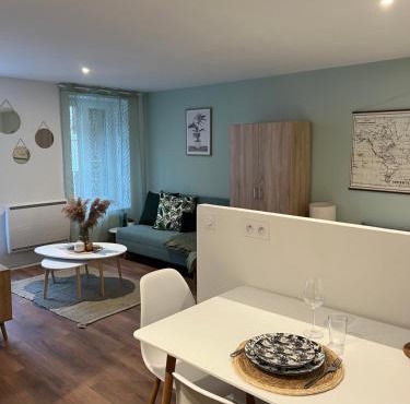 Studio calme à 2 pas du Rhône - Wifi rapide