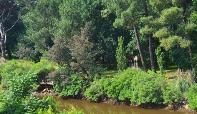 Studio Capbreton, 1 pièce, 2 personnes - FR-1-247-109